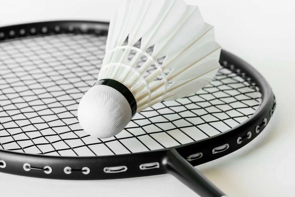 Badminton au VFG !